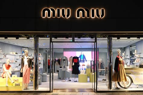 about miu miu brand